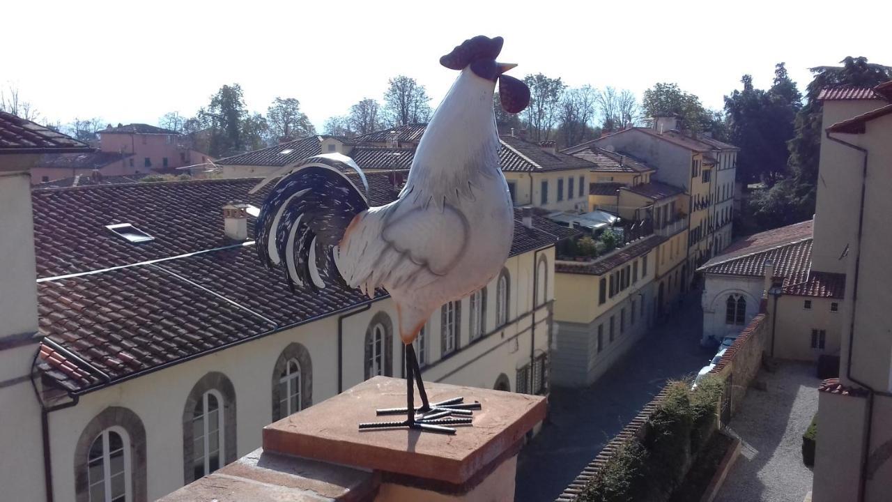 Appartement Terrazza Coccode' Spazioso Con Vista Mozzafiato! *